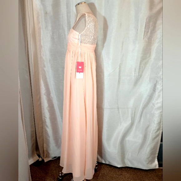 JJs House TAG Empire Waist Pink Long Gown Lace Bodice, Straps, ZipUp, Pleats, 10 - Picture 10 of 12
